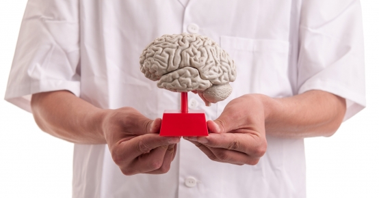 Neuroimunologia